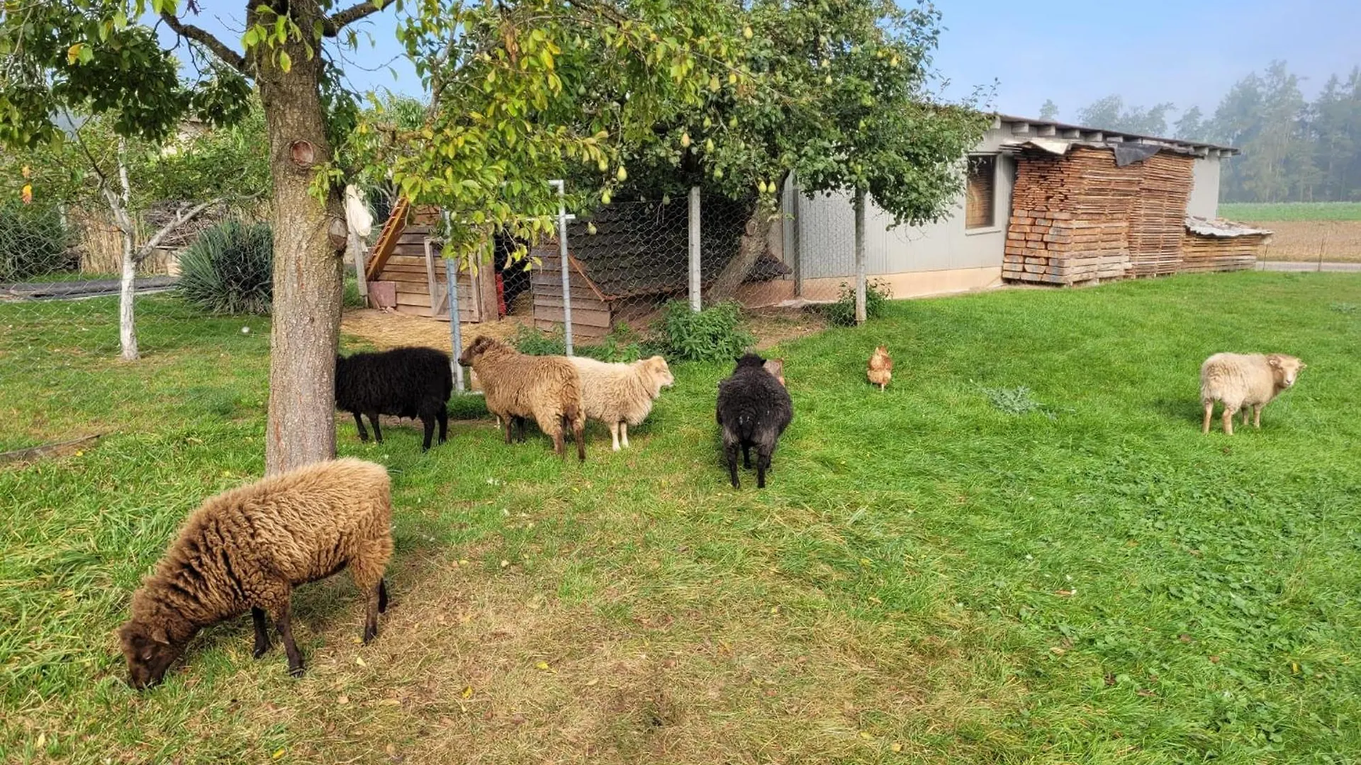 アパート Ferienwohnung Wiesenhof Neuhof an der Zenn